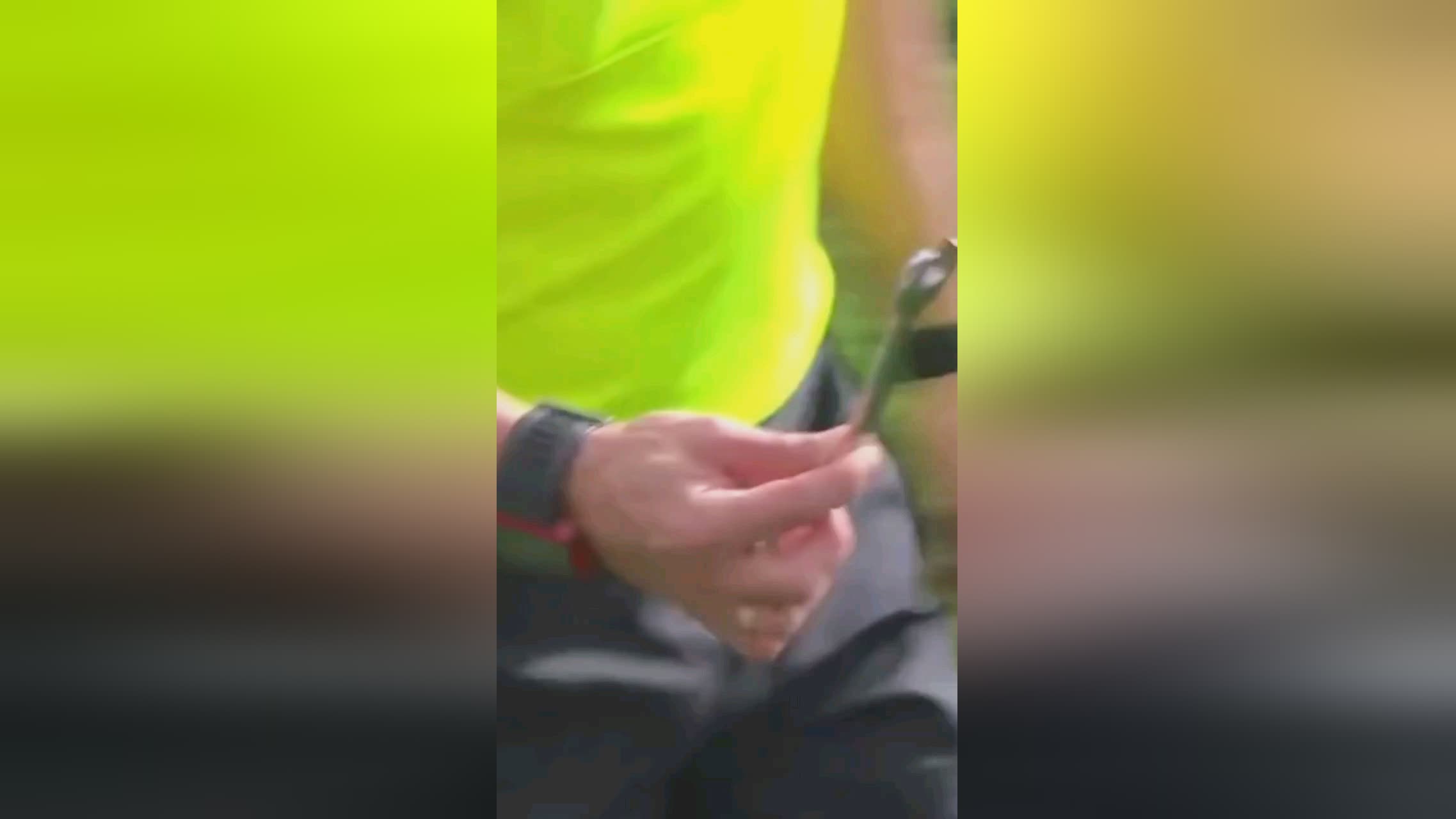 职业规